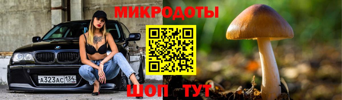 Галлюциногенные грибы Psilocybe  Вход с VPN  Людиново 